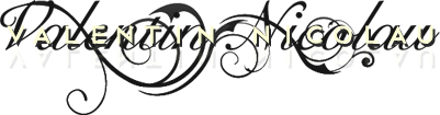 valentin nicolau logo